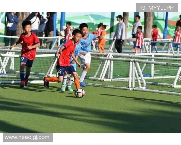 邢台足球明星盘点：那些在绿茵场上闪耀的本土英雄们